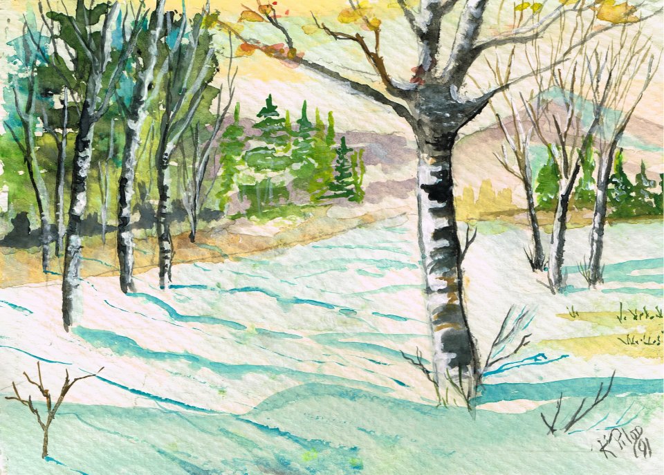 L'hiver et son manteau de neige 1991