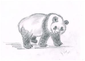 panda